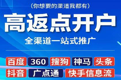 某某SEM团队成功案例：广告投放策略揭秘